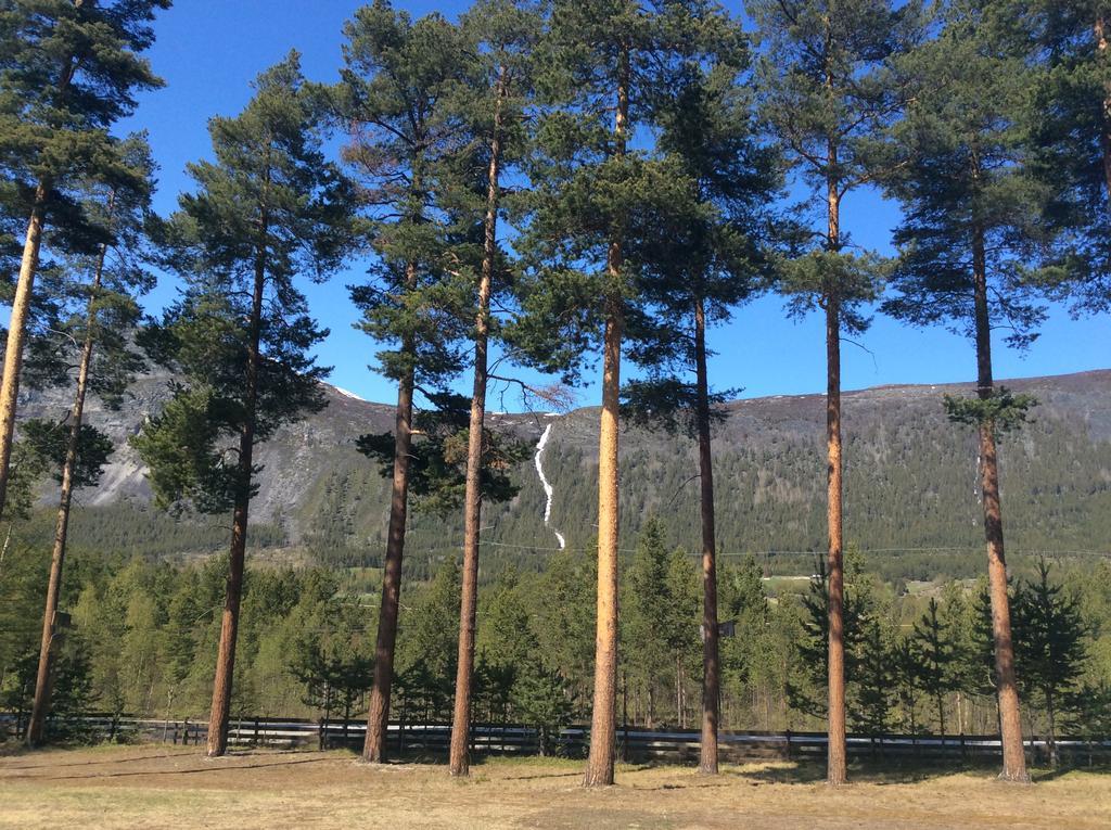 Furuly Camping Nordberg Exteriör bild
